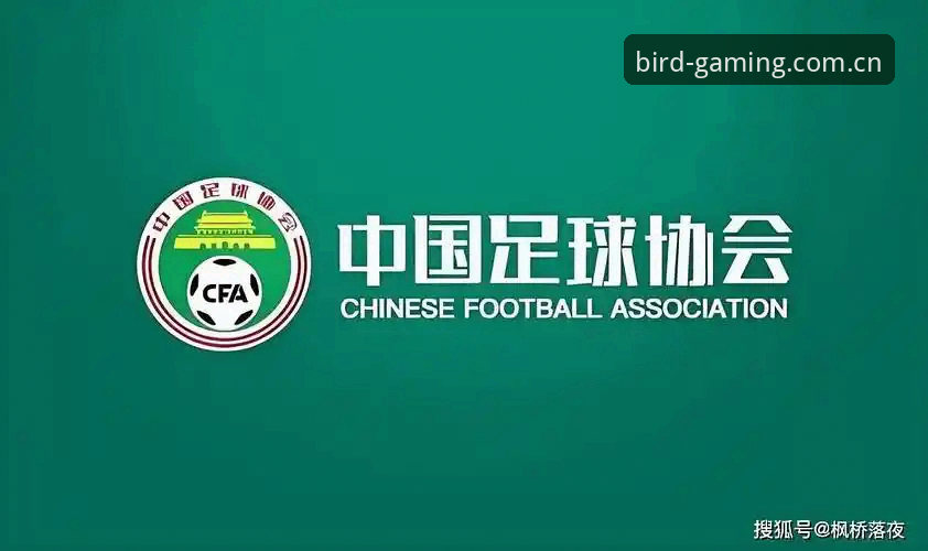 深度揭秘：足协第三批禁足名单曝光，65人涉案背后的足球暗流